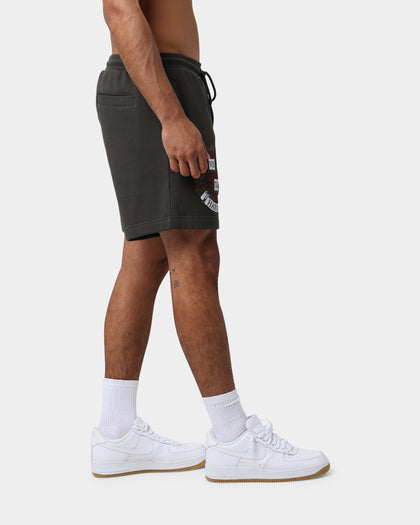 National Collegiate Athletic Association Harvard University Multi Hit Shorts Steel