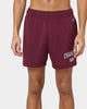 Champion Collegiate Heritage Basketball Shorts Dark Berry Purple