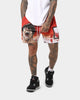Goat Crew X Baki Hanma Baki Mesh Shorts Burnt Orange