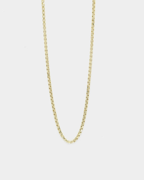 HOUSE OF AURIC HOLLOW BOX CHAIN 10K YELLOW GOLD