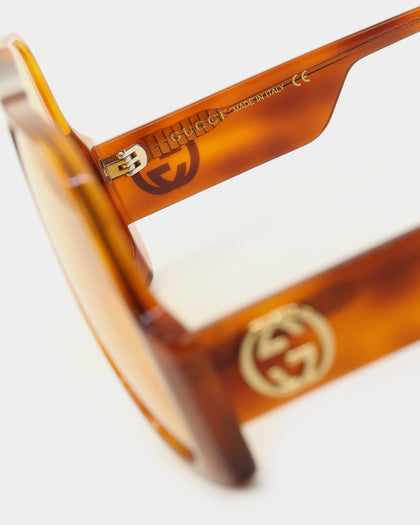 Gucci GG0785S001 Havana