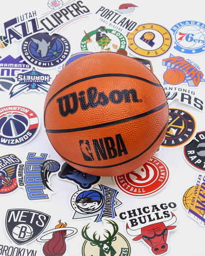 Wilson NBA Forge Acrylic Mini Hoop: Black Colour +30 NBA Team Stickers Multi-coloured