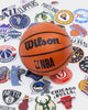 Wilson NBA Forge Acrylic Mini Hoop: Black Colour +30 NBA Team Stickers Multi-coloured