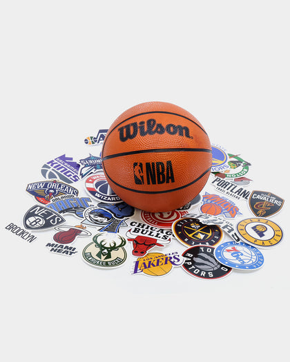 Wilson NBA Forge Acrylic Mini Hoop: Black Colour +30 NBA Team Stickers Multi-coloured