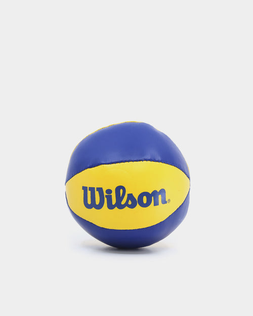 Wilson Golden State Warriors NBA Team Mini Hoop Multi-coloured