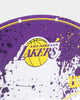 Wilson Los Angeles Lakers NBA Team Mini Hoop Multi-coloured
