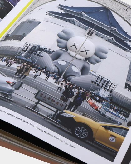 KAWS KAWS What Party Black On Pink Edition Book Black/Pink