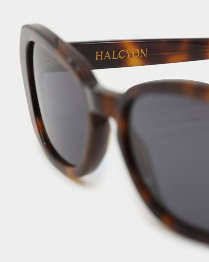 Halcyon Eyewear Lenny Sunglasses Havana