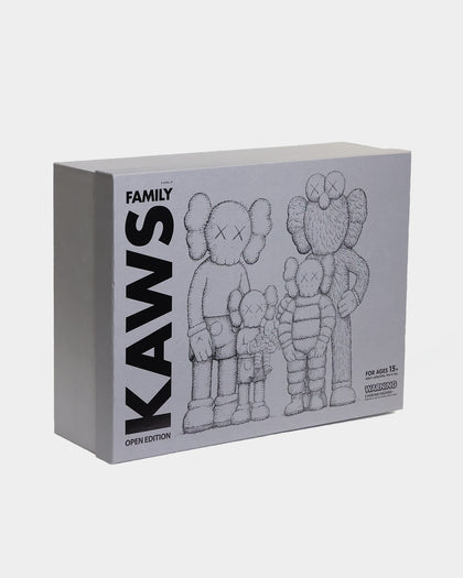 Kaws Kaws Family Figure Brown