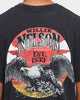 WILLIE NELSON 1993 Eagle Short Sleeve Vintage T-Shirt Washed Black