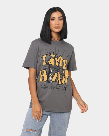 Limp Bizkit Dollar Bill T-Shirt Grey