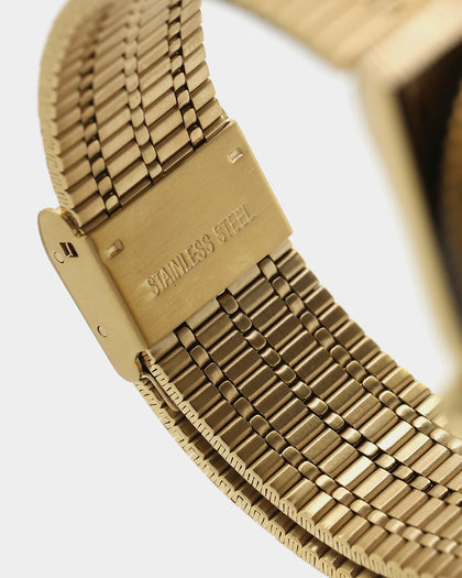 Timex Q Timex Reissue 36mm Watch Gold/Black