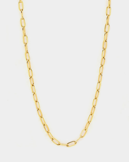 Raising Hell Women's Customisable Long Cable Necklace Gold