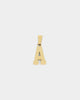 NXS College Letter Pendant Gold