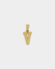 NXS College Letter Pendant Gold