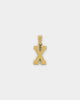 NXS College Letter Pendant Gold
