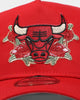 New Era Chicago Bulls 'Floral Logo' 9FORTY K-Frame Snapback Scarlet/Floral