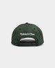 Mitchell & Ness Branded Pro Crown Snapback Green