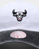 Mitchell & Ness Chicago Bulls Dad Hat Strapback White
