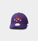 Mitchell & Ness Toronto Raptors Dad Hat Strapback Purple