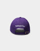 Mitchell & Ness Toronto Raptors Dad Hat Strapback Purple