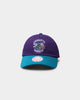 Mitchell & Ness Charlotte Hornets Dad Hat Strapback Purple/Teal