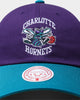 Mitchell & Ness Charlotte Hornets Dad Hat Strapback Purple/Teal