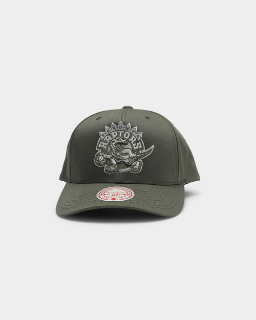 Mitchell & Ness Toronto Raptors Cotton Pro Crown Snapback Green