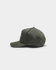 Mitchell & Ness Toronto Raptors Cotton Pro Crown Snapback Green