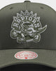 Mitchell & Ness Toronto Raptors Cotton Pro Crown Snapback Green