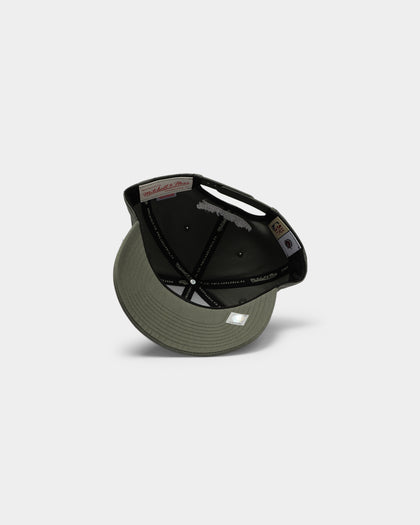 Mitchell & Ness Toronto Raptors Cotton Pro Crown Snapback Green