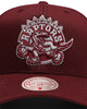 Mitchell & Ness Toronto Raptors Cotton Pro Crown Snapback Port