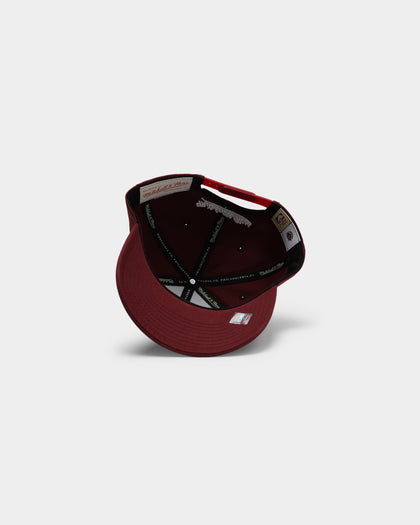 Mitchell & Ness Toronto Raptors Cotton Pro Crown Snapback Port