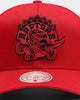 Mitchell & Ness Toronto Raptors Cotton Pro Crown Snapback Red