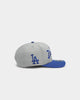 47 Brand Men's Los Angeles Dodgers Script MVP DP Snapback Grey/Royal