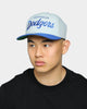47 Brand Men's Los Angeles Dodgers Script MVP DP Snapback Grey/Royal