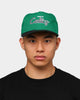 New Era Boston Celtics 2-Tone Script Old Golfer Snapback Green/Black
