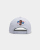 Mitchell & Ness Chicago Bulls '96 Champs Wave Pro Crown Snapback White