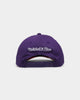 Mitchell & Ness Toronto Raptors 'OG Team Arch Design' Pro Crown Snapback Purple/Red