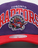 Mitchell & Ness Toronto Raptors 'OG Team Arch Design' Pro Crown Snapback Purple/Red