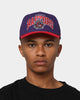 Mitchell & Ness Toronto Raptors 'OG Team Arch Design' Pro Crown Snapback Purple/Red