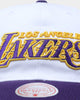 Mitchell & Ness Los Angeles Lakers 'Retro Script' Deadstock Snapback White/Purple