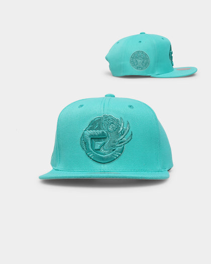 Mitchell & Ness Memphis Grizzlies 'Monochrome' Original Fit Snapback Teal