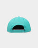 Mitchell & Ness Memphis Grizzlies 'Monochrome' Original Fit Snapback Teal