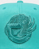 Mitchell & Ness Memphis Grizzlies 'Monochrome' Original Fit Snapback Teal