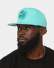 Mitchell & Ness Memphis Grizzlies 'Monochrome' Original Fit Snapback Teal
