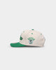 Mitchell & Ness Boston Celtics "Cream Team Script" Pro Crown Snapback Cream
