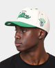 Mitchell & Ness Boston Celtics "Cream Team Script" Pro Crown Snapback Cream