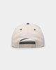 Mitchell & Ness Toronto Raptors "Cream Team Script" Pro Crown Snapback Cream
