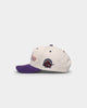 Mitchell & Ness Toronto Raptors "Cream Team Script" Pro Crown Snapback Cream